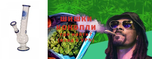 гашик Бородино