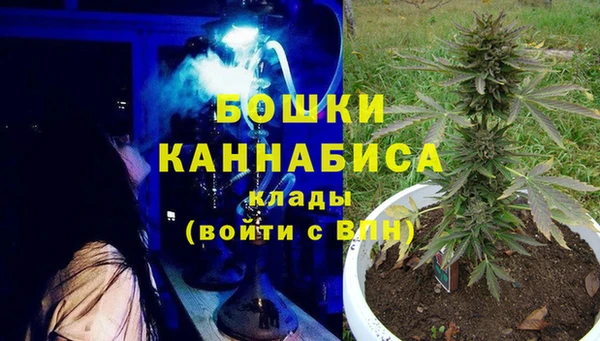 гашик Бородино