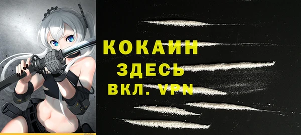 гашик Бородино