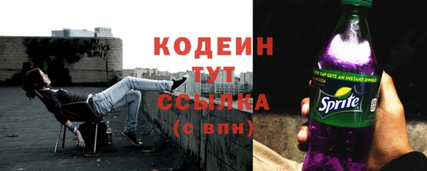 гашик Бородино