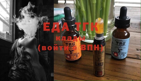 гашик Бородино
