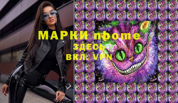 гашик Бородино