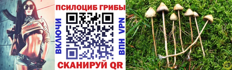Псилоцибиновые грибы Psilocybe  mega маркетплейс  Далматово 